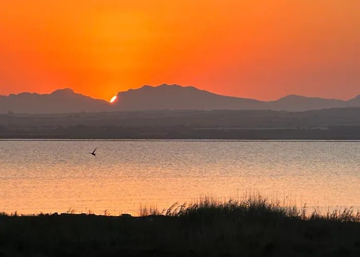 Casa Tierra Torrievieja Close To The Playa Del Cura Apartment